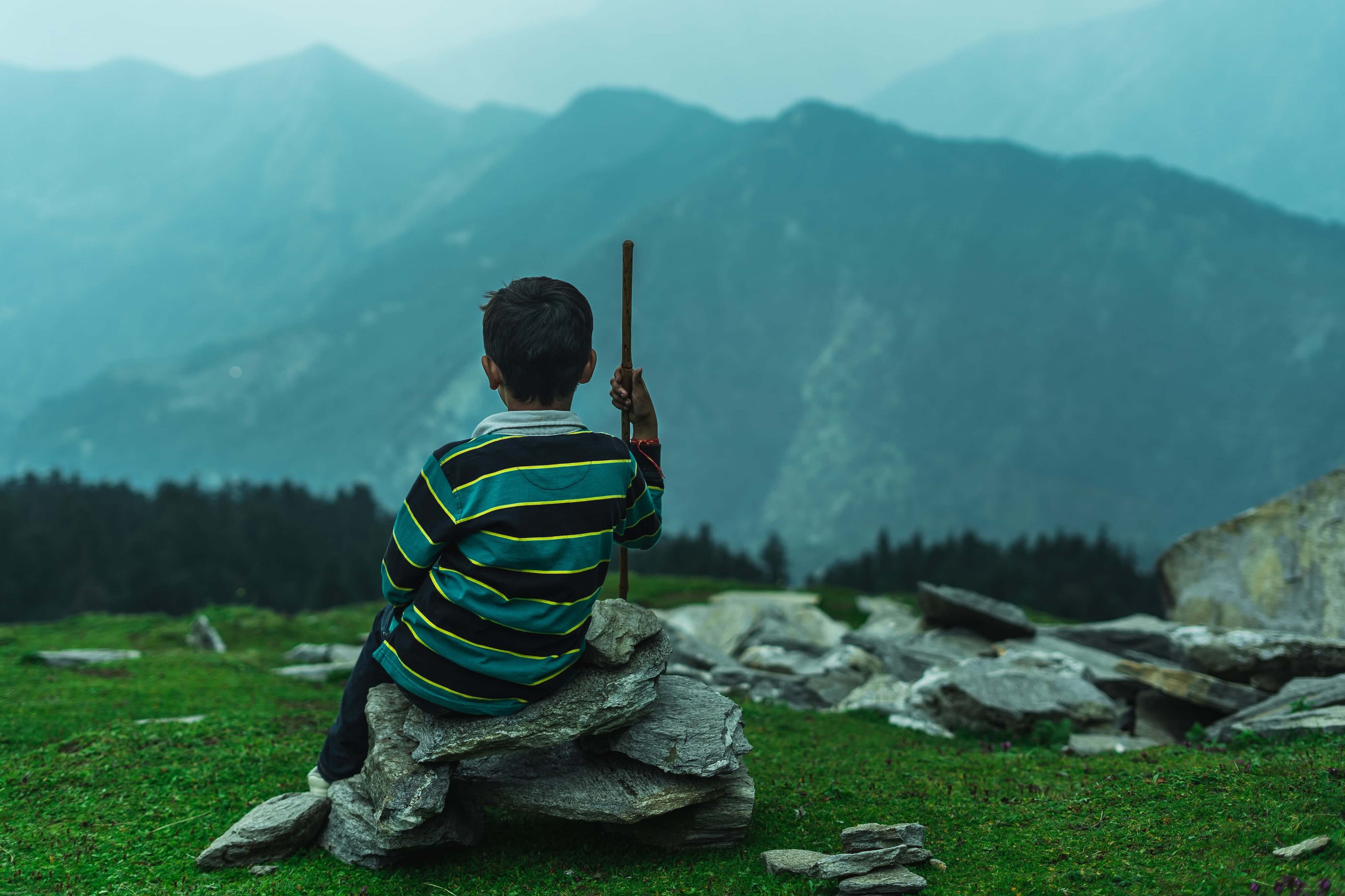 child looking at a green view