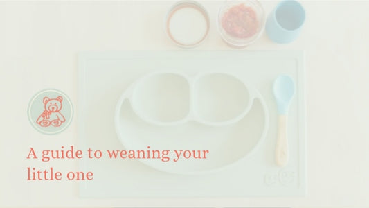 A guide to weaning your little one